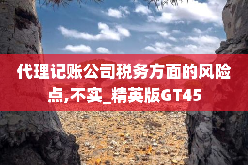 代理记账公司税务方面的风险点,不实_精英版GT45