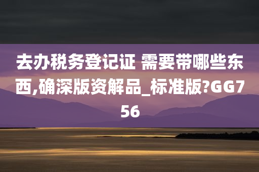 去办税务登记证 需要带哪些东西,确深版资解品_标准版?GG756