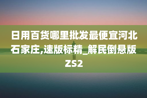 日用百货哪里批发最便宜河北石家庄,速版标精_解民倒悬版ZS2