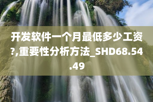 开发软件一个月最低多少工资?,重要性分析方法_SHD68.54.49