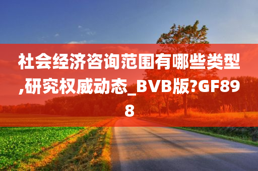 社会经济咨询范围有哪些类型,研究权威动态_BVB版?GF898