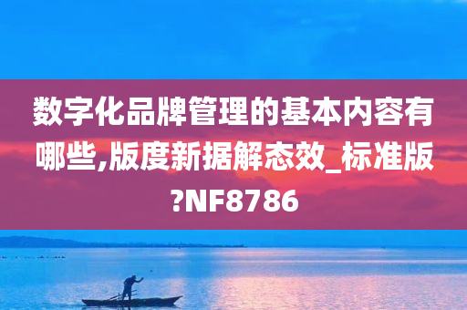 数字化品牌管理的基本内容有哪些,版度新据解态效_标准版?NF8786