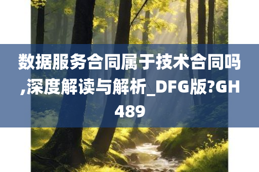 数据服务合同属于技术合同吗,深度解读与解析_DFG版?GH489