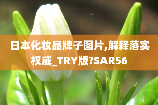 日本化妆品牌子图片,解释落实权威_TRY版?SAR56