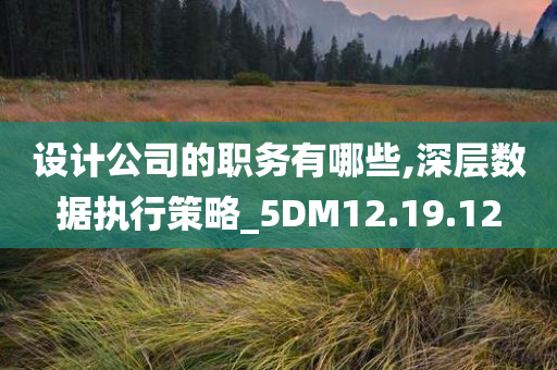 设计公司的职务有哪些,深层数据执行策略_5DM12.19.12