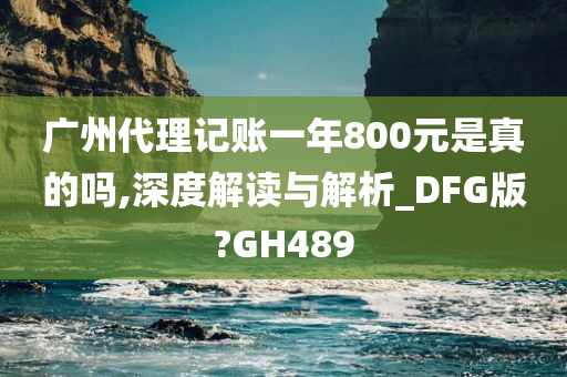 广州代理记账一年800元是真的吗,深度解读与解析_DFG版?GH489