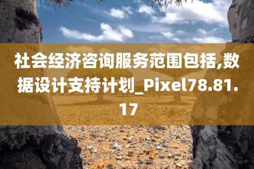 社会经济咨询服务范围包括,数据设计支持计划_Pixel78.81.17