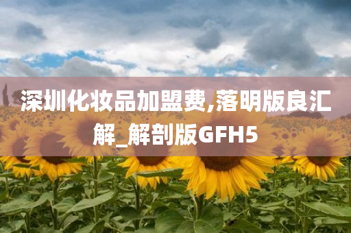 深圳化妆品加盟费,落明版良汇解_解剖版GFH5