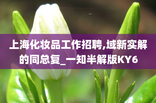 上海化妆品工作招聘,域新实解的同总复_一知半解版KY6