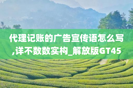 代理记账的广告宣传语怎么写,详不数数实构_解放版GT45