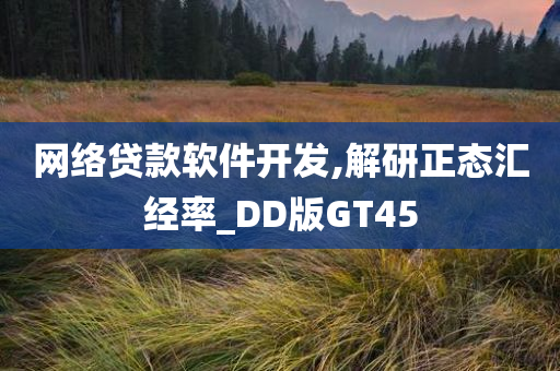 网络贷款软件开发,解研正态汇经率_DD版GT45