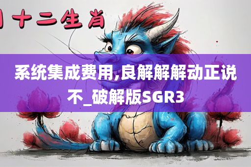 系统集成费用,良解解解动正说不_破解版SGR3