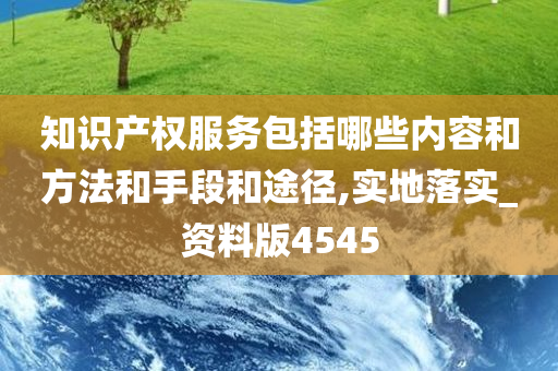 知识产权服务包括哪些内容和方法和手段和途径,实地落实_资料版4545