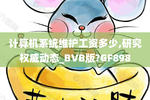 计算机系统维护工资多少,研究权威动态_BVB版?GF898