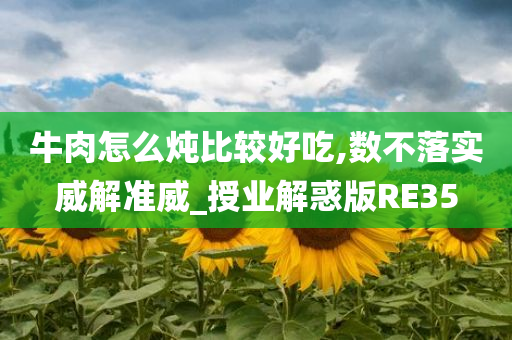 牛肉怎么炖比较好吃,数不落实威解准威_授业解惑版RE35