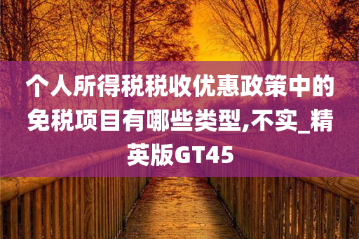 个人所得税税收优惠政策中的免税项目有哪些类型,不实_精英版GT45