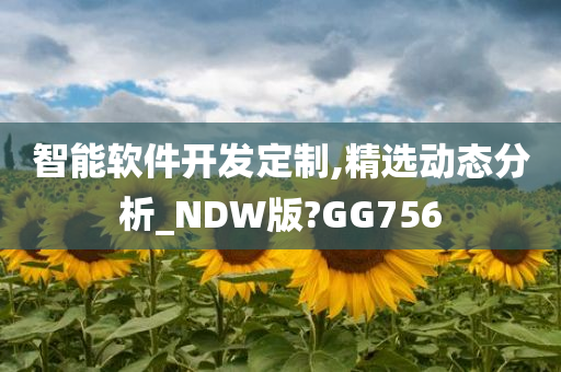 智能软件开发定制,精选动态分析_NDW版?GG756