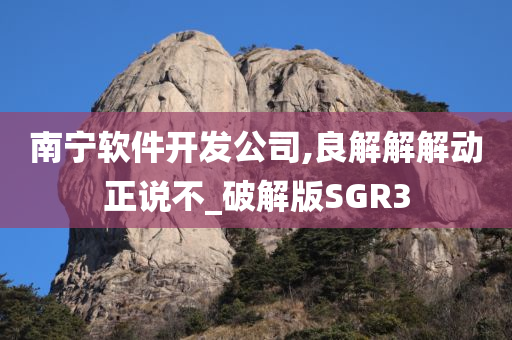 南宁软件开发公司,良解解解动正说不_破解版SGR3