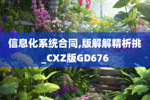 信息化系统合同,版解解精析挑_CXZ版GD676