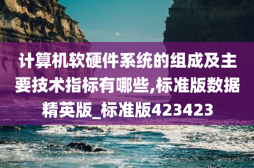 计算机软硬件系统的组成及主要技术指标有哪些,标准版数据精英版_标准版423423