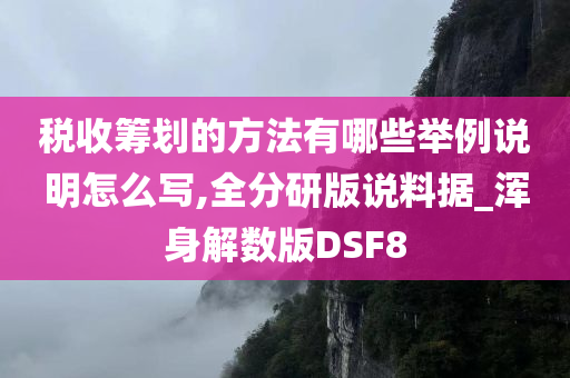 税收筹划的方法有哪些举例说明怎么写,全分研版说料据_浑身解数版DSF8