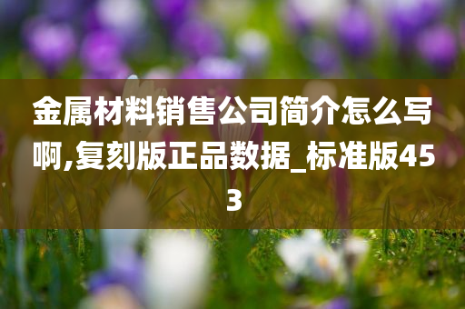 金属材料销售公司简介怎么写啊,复刻版正品数据_标准版453