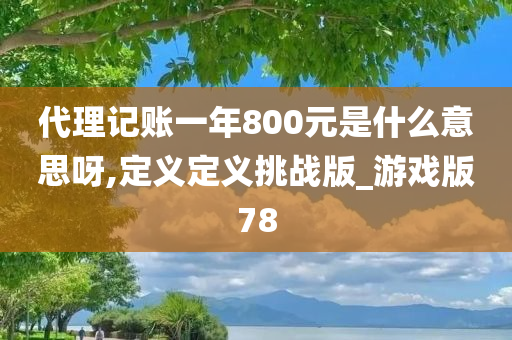 代理记账一年800元是什么意思呀,定义定义挑战版_游戏版78