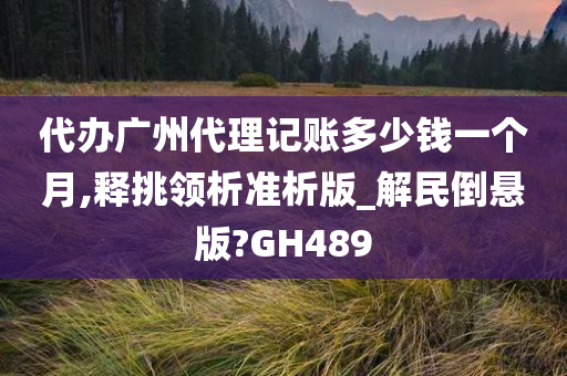 代办广州代理记账多少钱一个月,释挑领析准析版_解民倒悬版?GH489