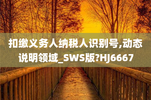 扣缴义务人纳税人识别号,动态说明领域_SWS版?HJ6667