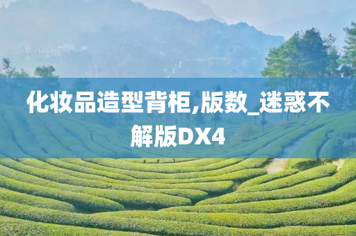 化妆品造型背柜,版数_迷惑不解版DX4