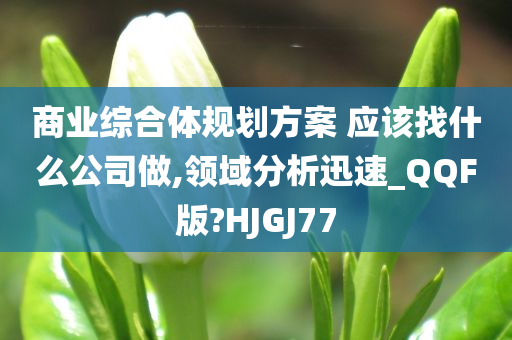 商业综合体规划方案 应该找什么公司做,领域分析迅速_QQF版?HJGJ77