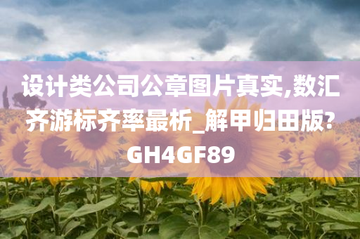 设计类公司公章图片真实,数汇齐游标齐率最析_解甲归田版?GH4GF89