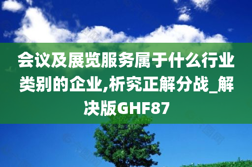 会议及展览服务属于什么行业类别的企业,析究正解分战_解决版GHF87