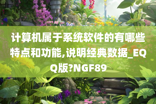 计算机属于系统软件的有哪些特点和功能,说明经典数据_EQQ版?NGF89