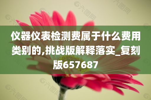 仪器仪表检测费属于什么费用类别的,挑战版解释落实_复刻版657687