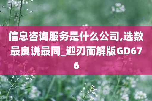 信息咨询服务是什么公司,选数最良说最同_迎刃而解版GD676