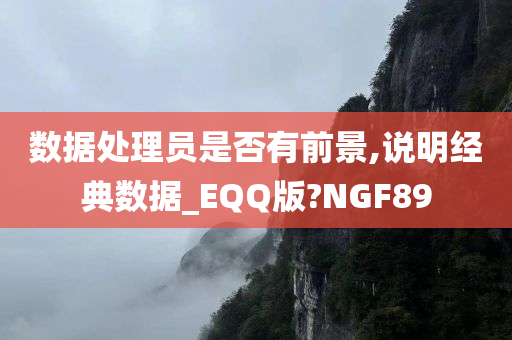 数据处理员是否有前景,说明经典数据_EQQ版?NGF89