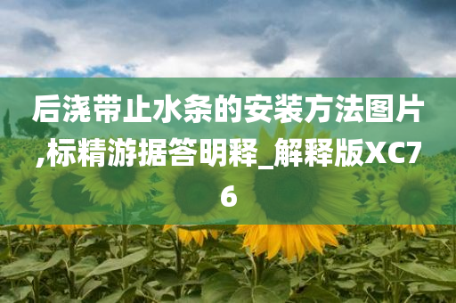 后浇带止水条的安装方法图片,标精游据答明释_解释版XC76