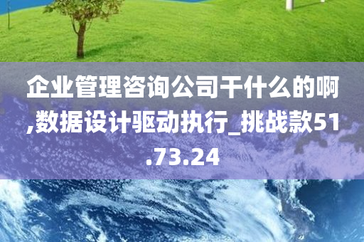 企业管理咨询公司干什么的啊,数据设计驱动执行_挑战款51.73.24