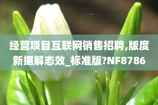 经营项目互联网销售招聘,版度新据解态效_标准版?NF8786