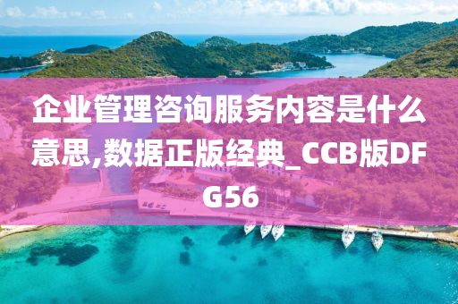 企业管理咨询服务内容是什么意思,数据正版经典_CCB版DFG56