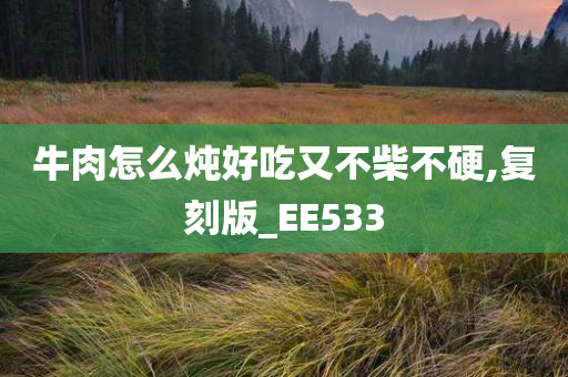 牛肉怎么炖好吃又不柴不硬,复刻版_EE533