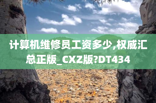 计算机维修员工资多少,权威汇总正版_CXZ版?DT434