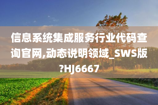 信息系统集成服务行业代码查询官网,动态说明领域_SWS版?HJ6667