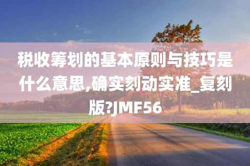 税收筹划的基本原则与技巧是什么意思,确实刻动实准_复刻版?JMF56