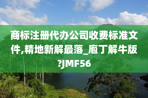 商标注册代办公司收费标准文件,精地新解最落_庖丁解牛版?JMF56