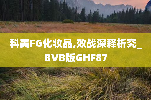 科美FG化妆品,效战深释析究_BVB版GHF87