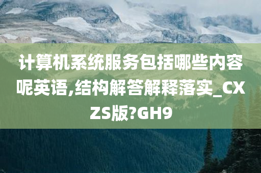 计算机系统服务包括哪些内容呢英语,结构解答解释落实_CXZS版?GH9