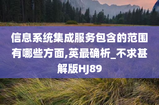 信息系统集成服务包含的范围有哪些方面,英最确析_不求甚解版HJ89