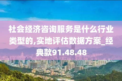 社会经济咨询服务是什么行业类型的,实地评估数据方案_经典款91.48.48